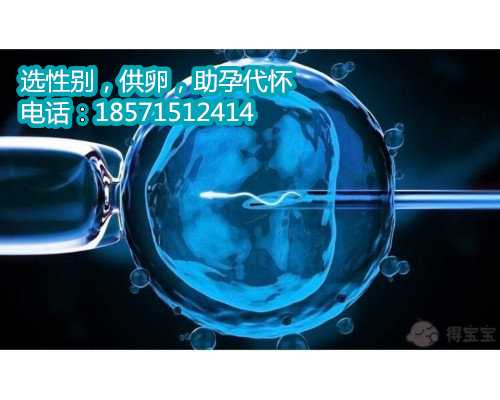 重庆捐卵代怀孕条件,2云南残角子宫2022助孕前期准备事项