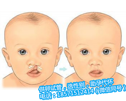 重庆捐卵招聘公司,武汉试管婴儿成功率高么